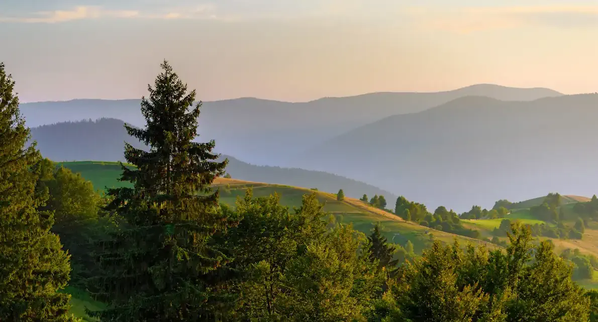 vosges resto st jean v3